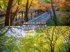 -颐和园