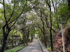 -榴花公园