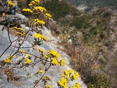 -圣莲山风景区