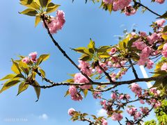 -潜山国家森林公园