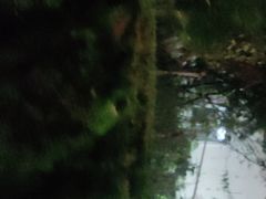 -漫城乔氏台球精酿啤酒吧