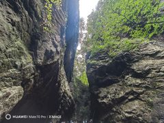 -牛背梁国家森林公园