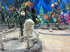 -海合安青岛极地海洋公园
