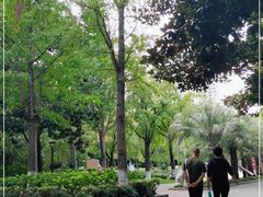 -苏州河梦清园环保主题公园