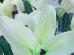 -至尊名仕·中泰按摩·养生SPA会所