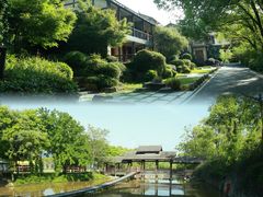 -黄陂区野村谷景区