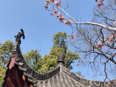 -长春观