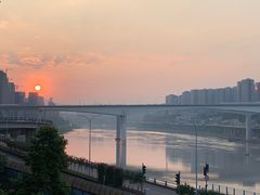 -李子坝梁山鸡(李子坝大鸡哥店)