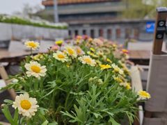 -苦尽酒馆·川菜(鼓楼店)