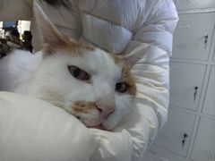 -平行世界·猫咖(首经贸店)
