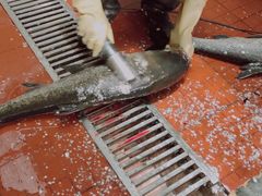 -千岛湖鱼味馆(十字街总店)