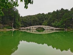 -铁山坪森林公园