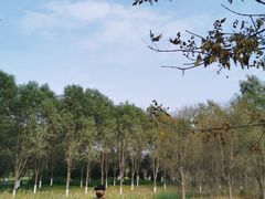 -东郊湿地公园