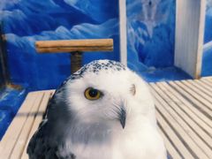 -成都浩海立方海洋公园