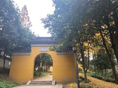 -苏州上方山国家森林公园