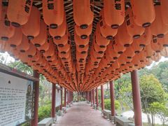 -佛山市三水温泉度假村