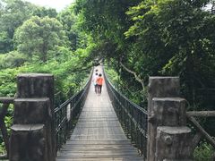 -东部华侨城
