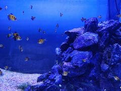 -海合安武汉极地海洋公园