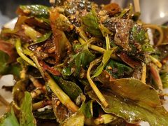-鸿顺老铁锅美蛙鱼府(解放碑店)