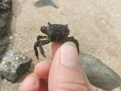 -碧桂园十里银滩