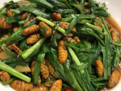 蚕蛹-千岛湖小鱼儿·淳安匠心农家菜