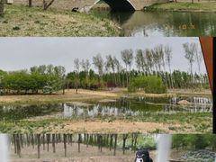 -东郊湿地公园