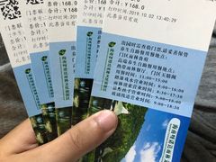 -呀诺达热带雨林