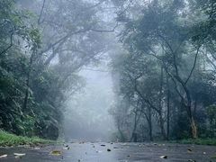 -梧桐山风景名胜区