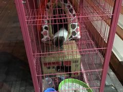 -鱼无双·酸菜鱼(来凤街店)