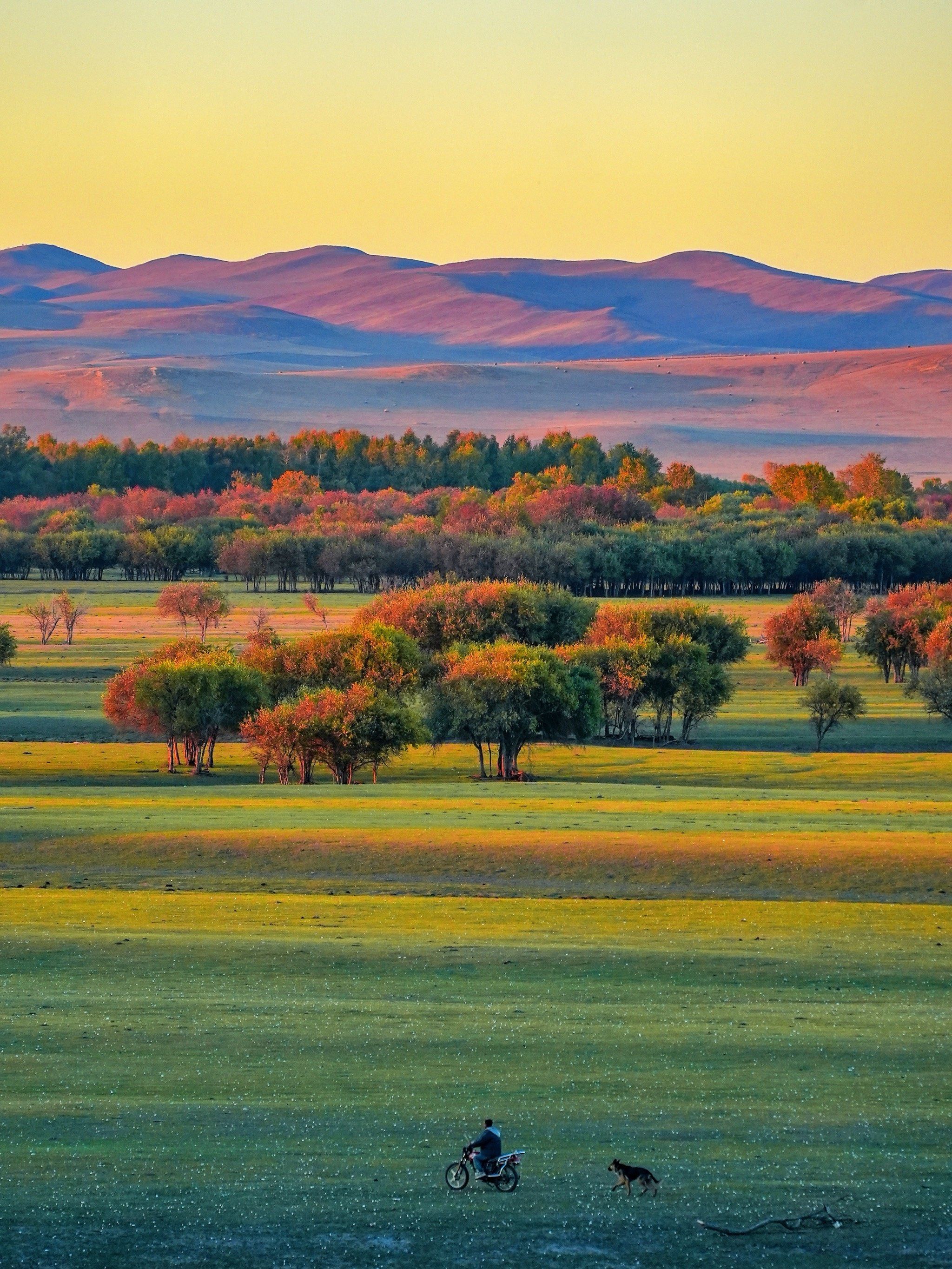 在秋天的额尔古纳,找到我的精神保护区