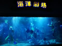 -南昌海洋公园