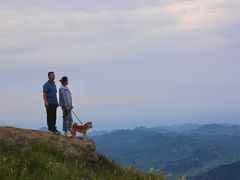 -白草畔自然风景区