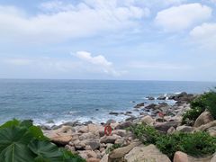 -广东惠东海龟国家级自然保护区