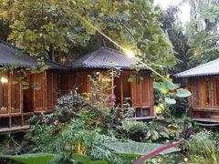 -大妙火锅·非物质文化遗产(东湖公园店)