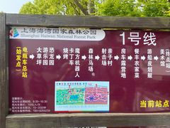-上海海湾国家森林公园