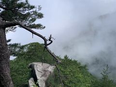 -罗田薄刀峰风景区