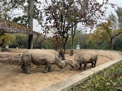 -西安秦岭野生动物园