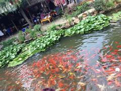 -竹泉村旅游度假区