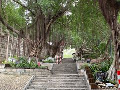 -胡里山炮台