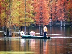 -白鹭湾湿地公园