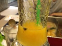 -新辣道鱼火锅(世纪金源购物中心店)