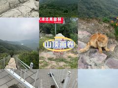 -北京西山国家森林公园