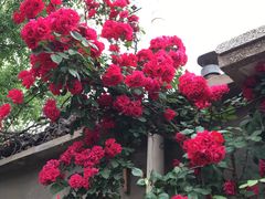 -张家小灶(东城店)