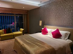 -深圳皇庭V酒店