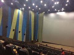 -天幕新彩云国际影城(激光巨幕店)