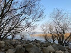 -上海吴淞炮台湾国家湿地公园