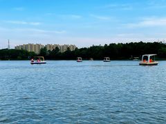 -美兰湖景区