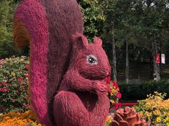 -广州市白云山风景名胜区