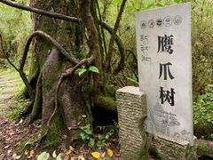 -海螺沟风景区