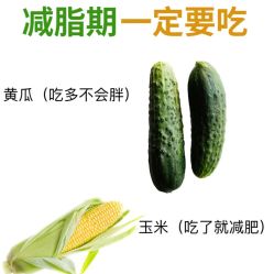 -Fundi张玉珊修身堂·indiba·BTL科技瘦身